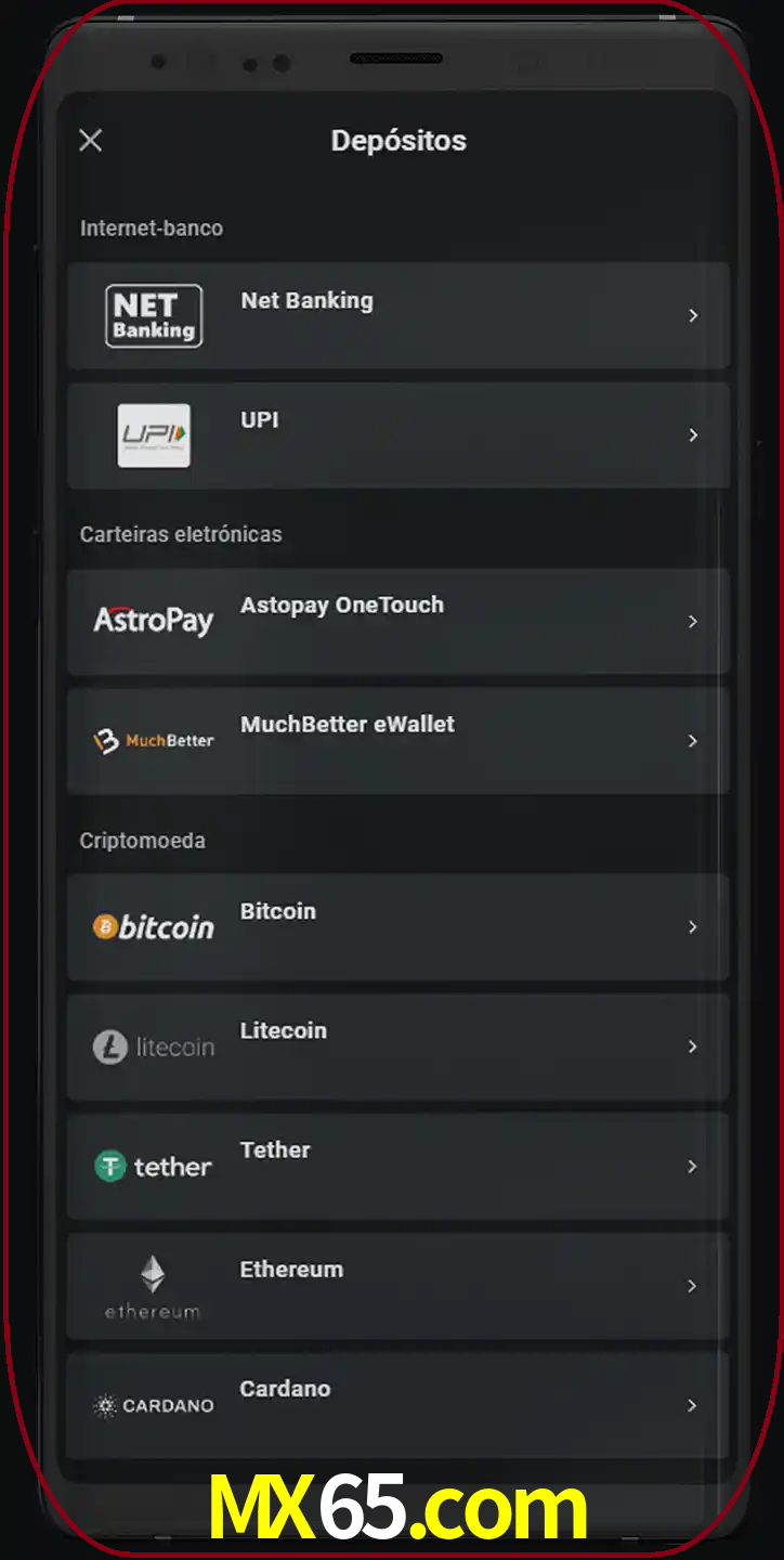 Você pode usar métodos alternativos de depósito.
